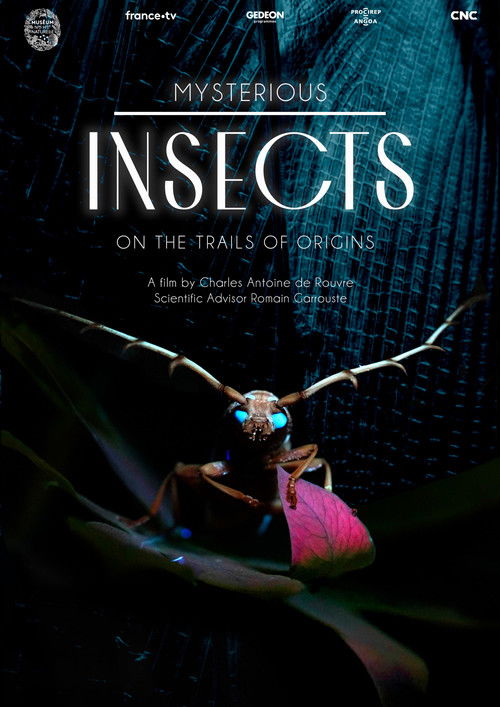 Mystérieux insectes, sur la piste des origines (2022) poster