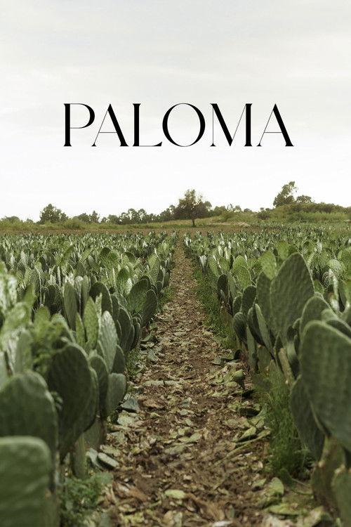 Paloma (2025) poster