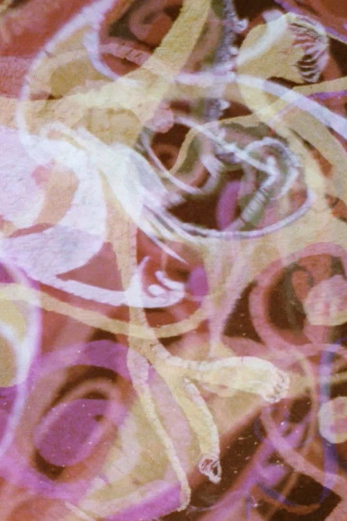 Psychedille (1968) poster