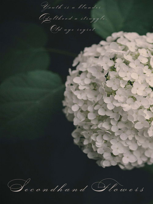 Secondhand Flowers (2021) poster