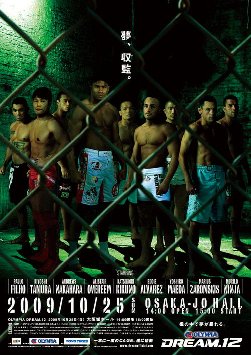 DREAM 12 (2009) poster