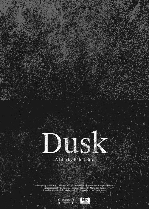 Dusk (2020) poster