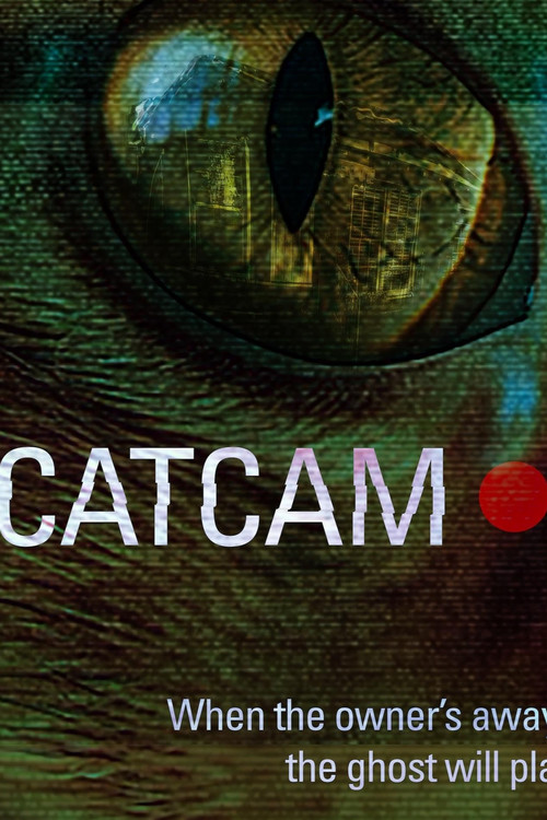 Cat Cam (2025) poster