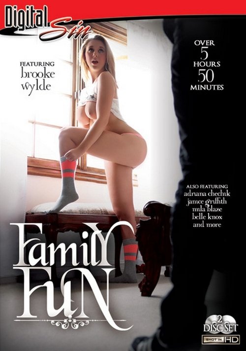 Family Fun (2014) poster