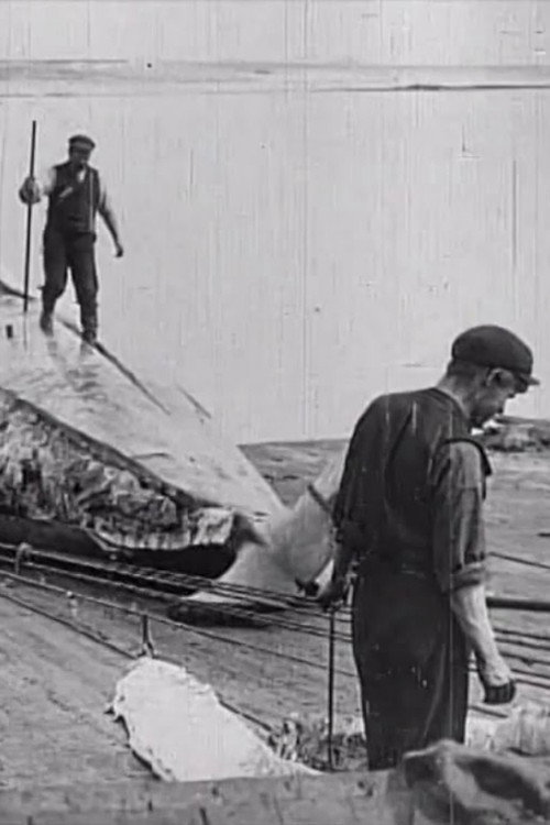 Whaling Afloat and Ashore (1908) poster
