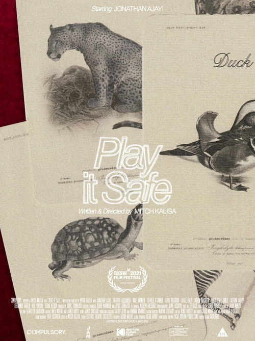 Play It Safe (2021) poster
