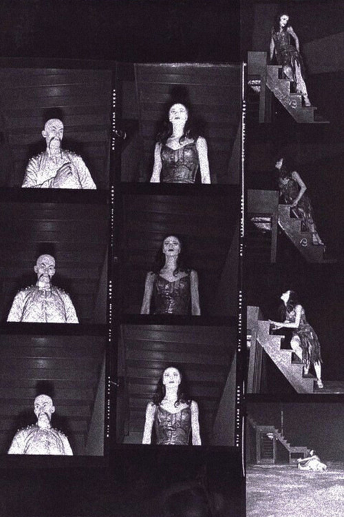 The Miraculous Mandarin (2001) poster