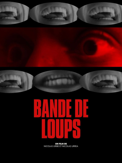Bande de Loups (2025) poster