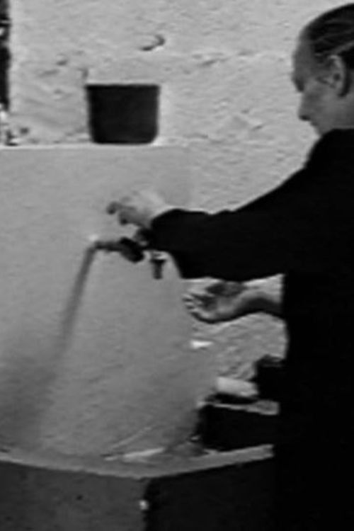 The Dance of the Horses (2001) poster