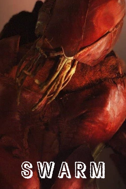 Swarm (2017) poster