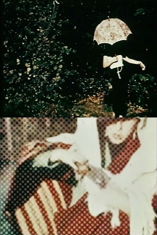 Le gote in fiamme (1967) poster