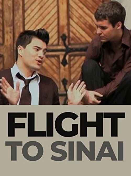 Flight to Sinai (2009) poster