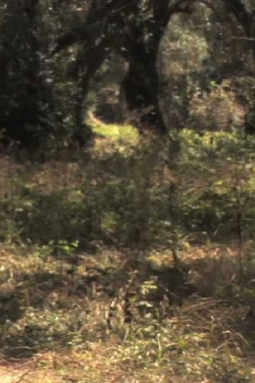 Seeing Van Gogh (2008) poster