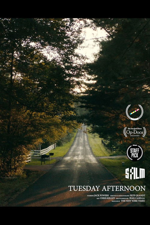 Tuesday Afternoon (2022) poster