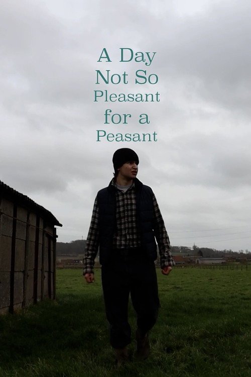 A Day Not So Pleasant for a Peasant (2025) poster