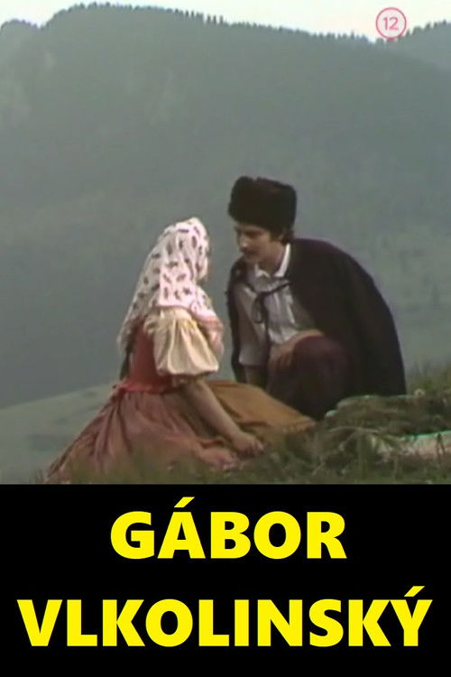 Gábor Vlkolinský (1978) poster