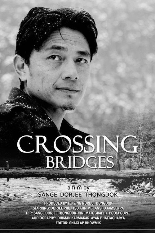 Crossing Bridges (2014) poster