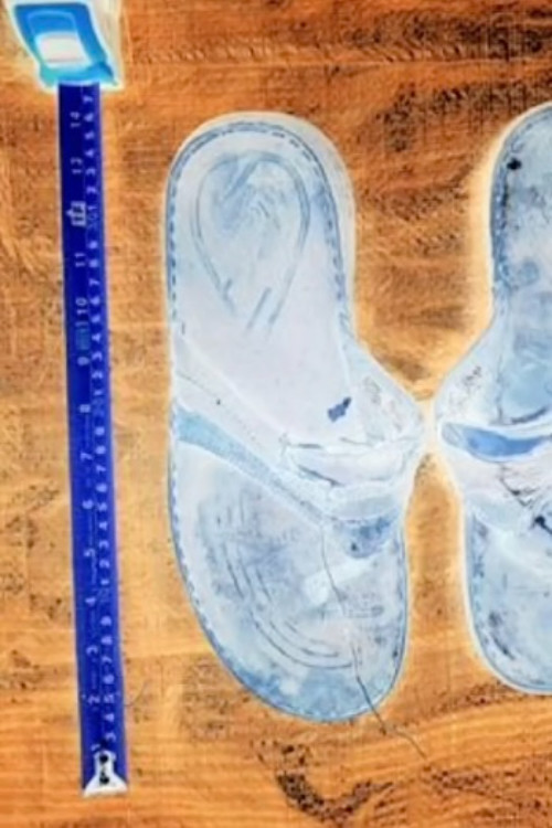 Los cuerpos indóciles (2018) poster