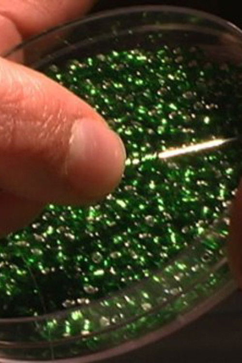 My Heart the Prophet (2001) poster