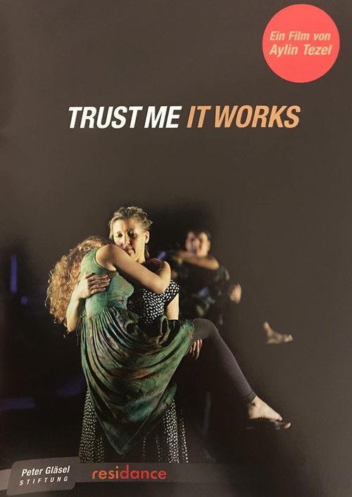 Trust Me It Works (2011) poster