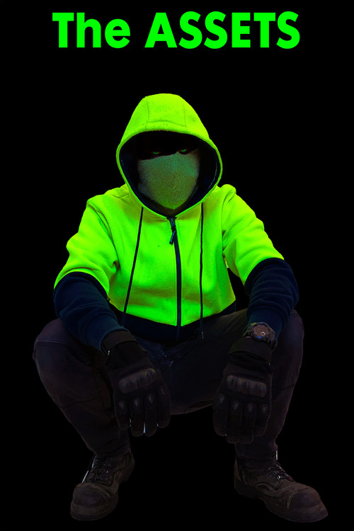 The Assets 'Pitch Piece' (2024) poster