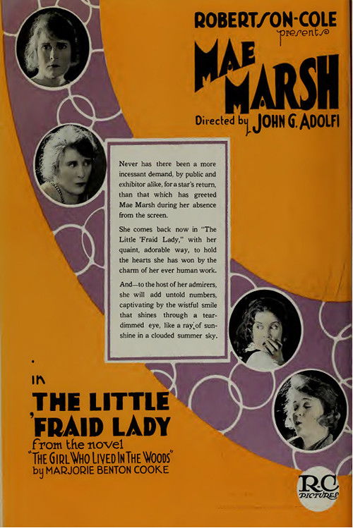 The Little 'Fraid Lady (1920) poster