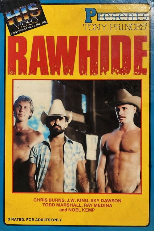 Rawhide (1981) poster