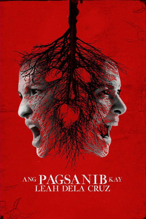 Ang Pagsanib kay Leah Dela Cruz (2017) poster