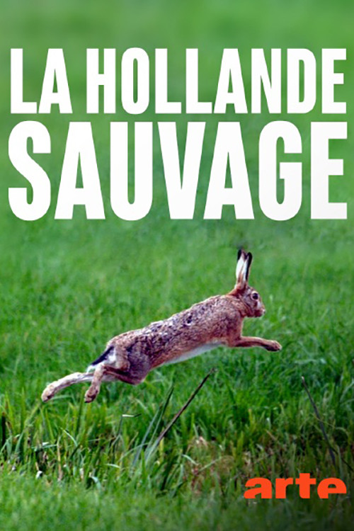 La Hollande sauvage - Dans l'oeil du delta (2017) poster