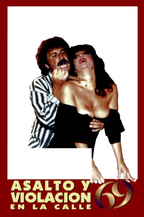 Assault and Rape on 69th Street (1991) poster