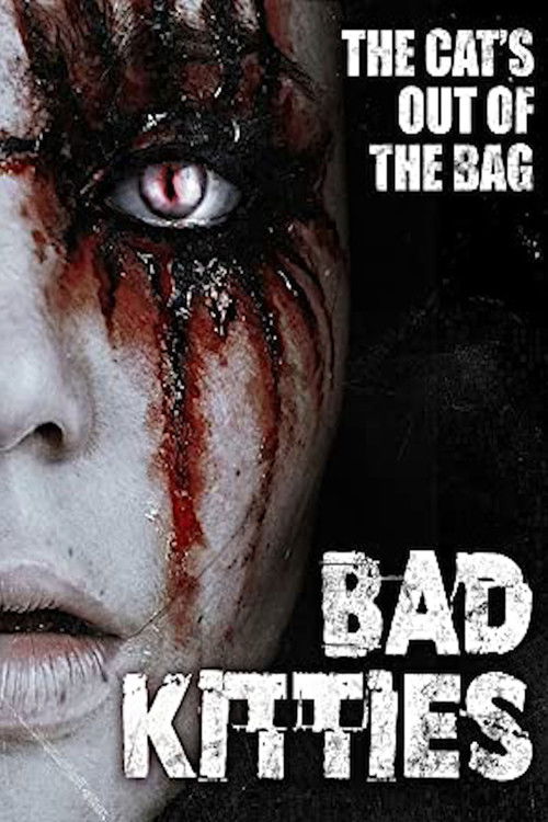 Bad Kitties (2013) poster
