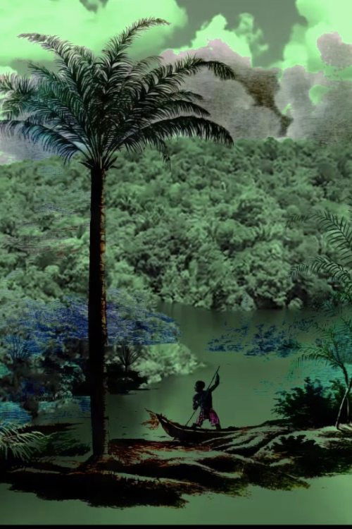 A conquista da floresta (2024) poster