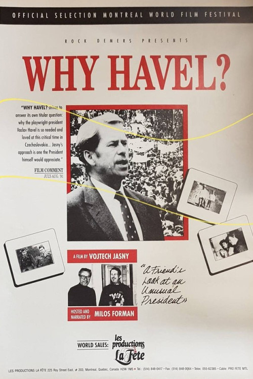 Proč Havel? (1991) poster