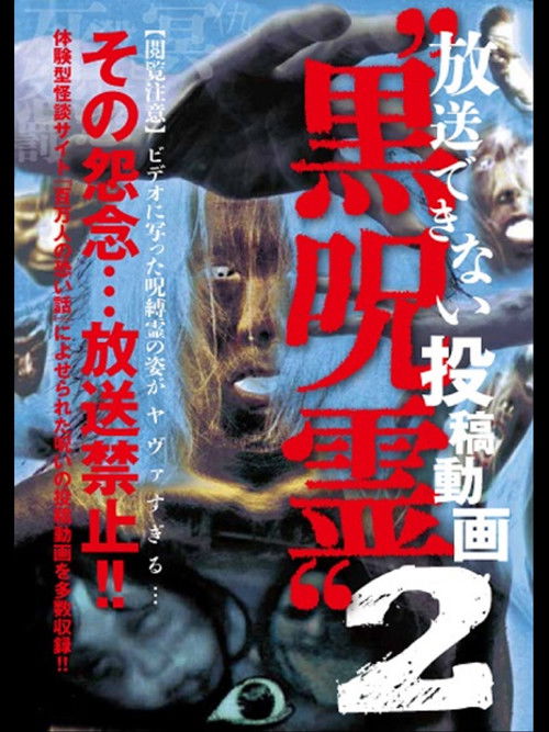 Submitted Videos That Cannot be Broadcast: Black Ghost 2 (2014) poster