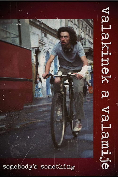 somebody's something (2009) poster