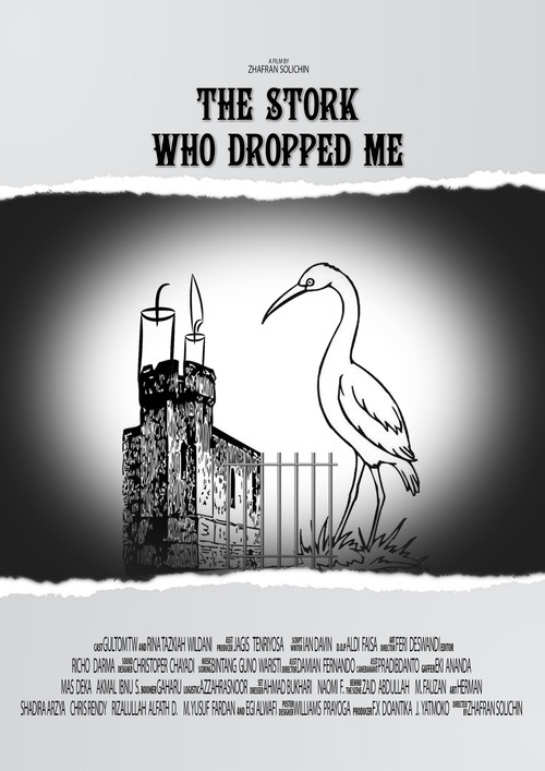 The Stork Who Dropped Me (2016) poster
