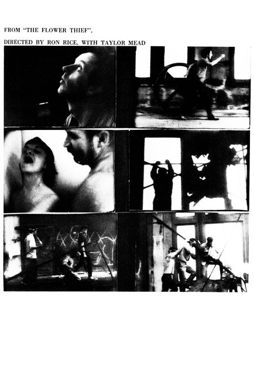 The Flower Thief (1960) poster