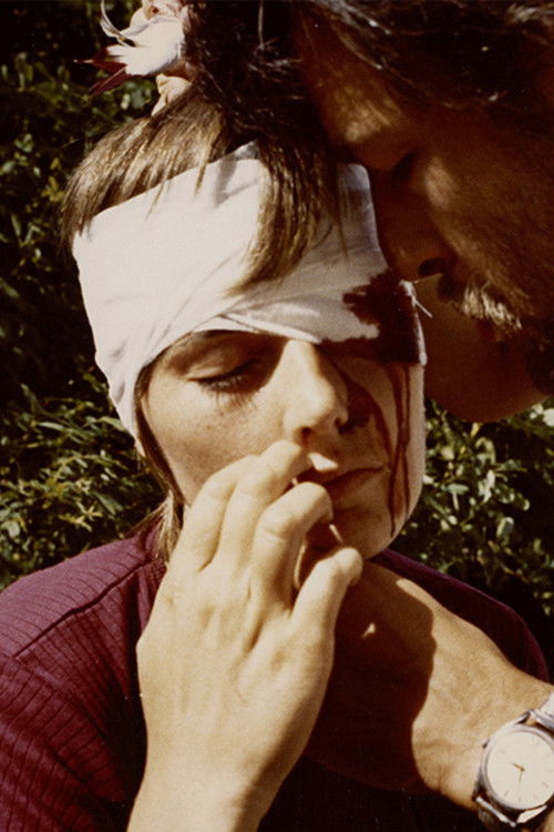 Camera Sutra (or the Pale Faces) (1973) poster