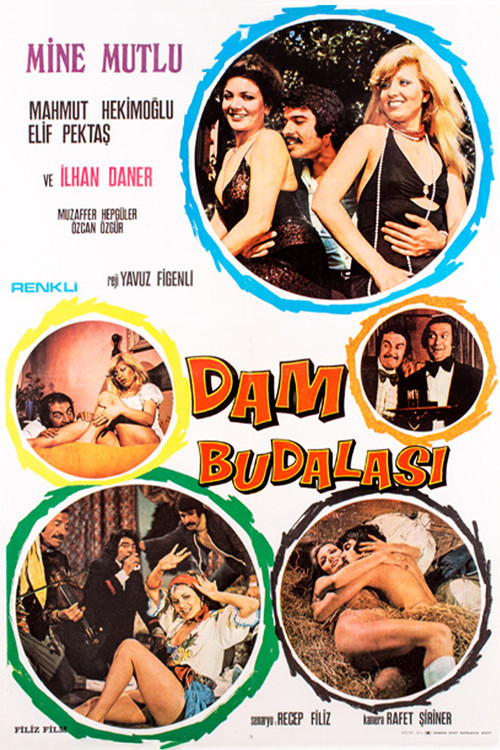 Dam Budalası (1975) poster