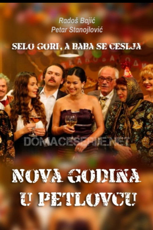 New Year's Eve in Petlovac (2011) poster