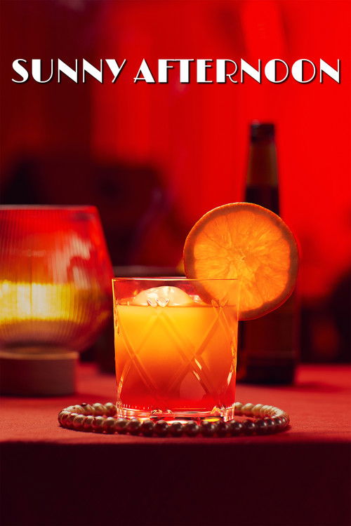 Sunny Afternoon (2025) poster