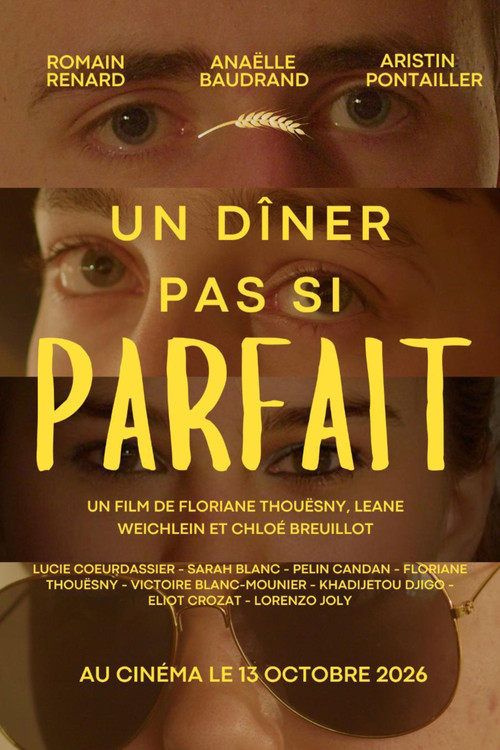 Un dîner pas si parfait (2026) poster