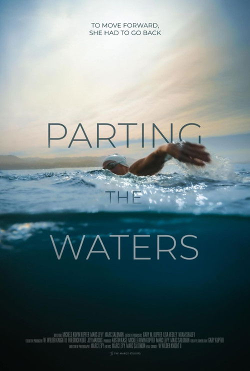 Parting the Waters poster