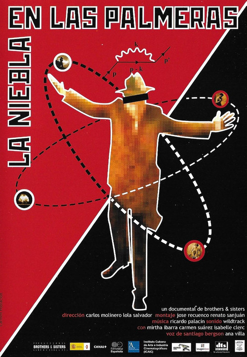 The Mist in the Palm Trees (2006) poster