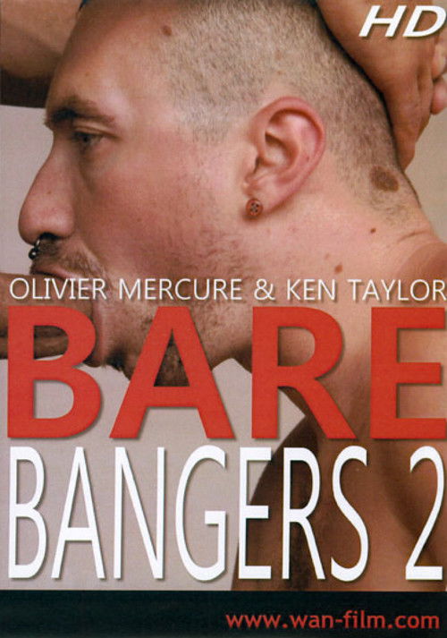 Bare Bangers 2 (2011) poster