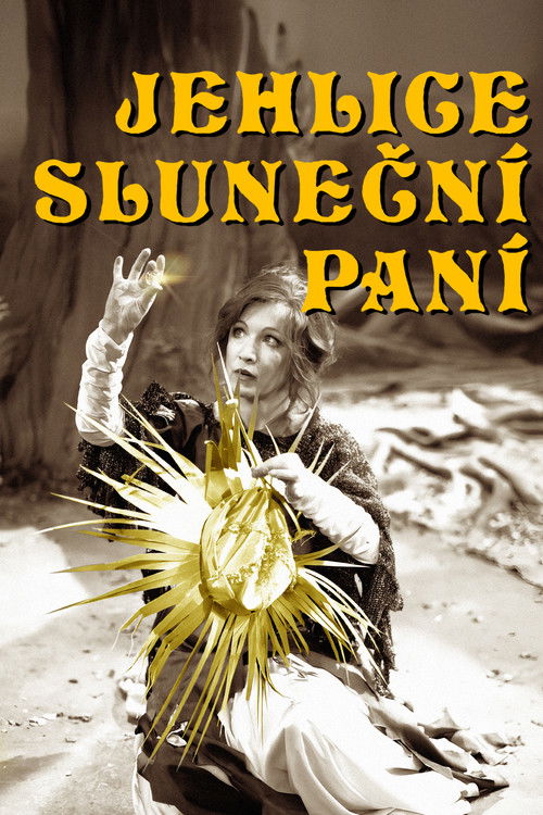 Jehlice Sluneční paní (1990) poster