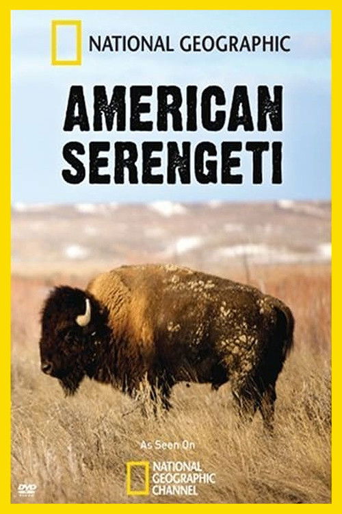 American Serengeti (2010) poster