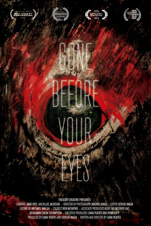 Gone Before Your Eyes (2023) poster