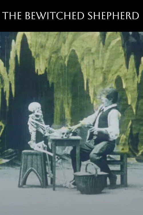 L'Antre de la sorcière (1906) poster