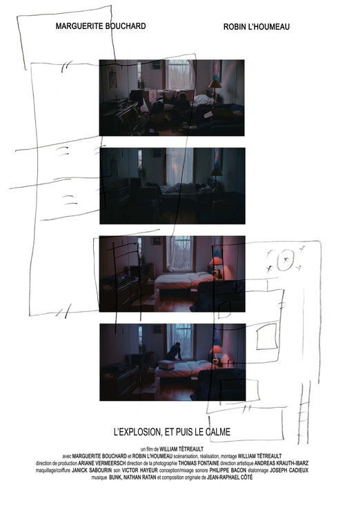L'explosion, et puis le calme poster